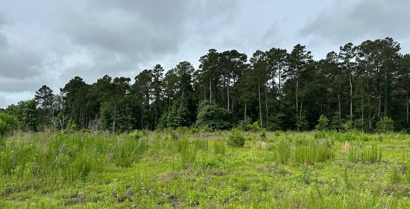 431 IMG 7731