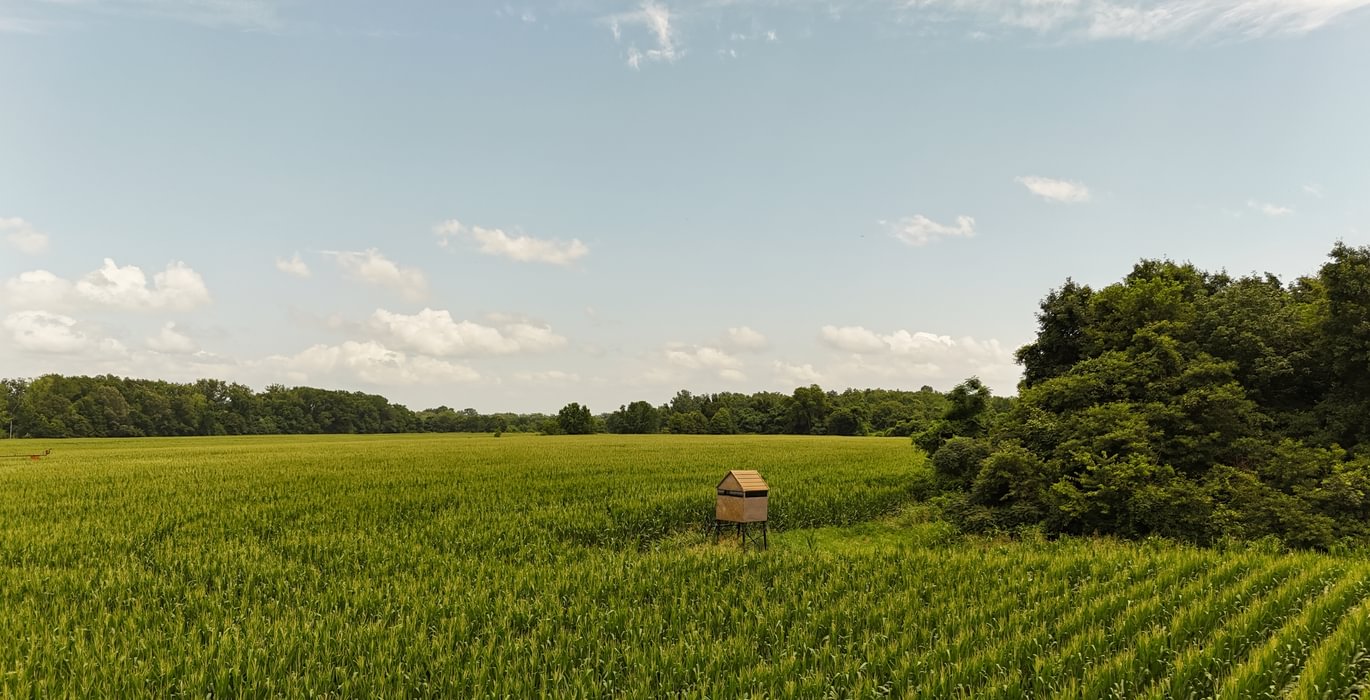 432 DJI 20250618152450 0186 D