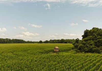 432 DJI 20250618152450 0186 D