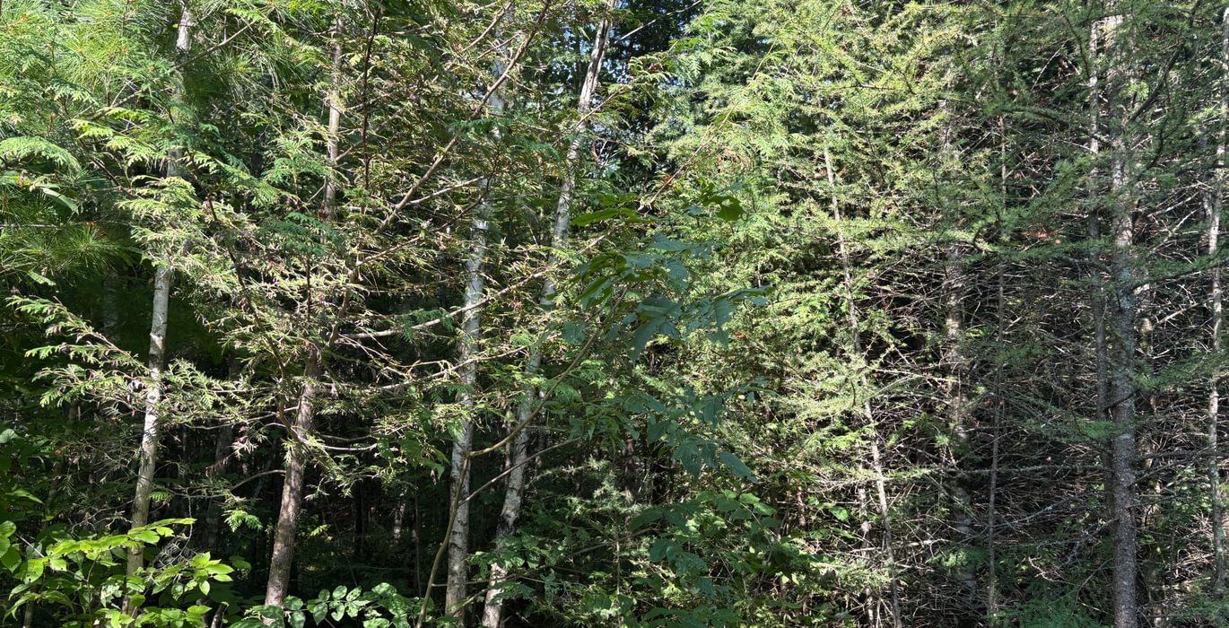 432 IMG 8901