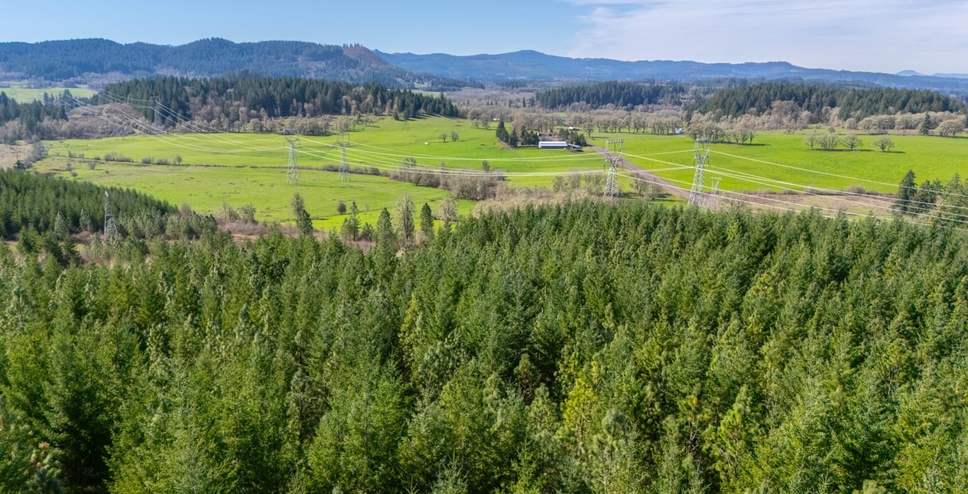 434 Bellinger Road 6