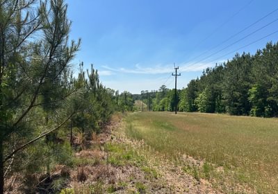 434 IMG 11631