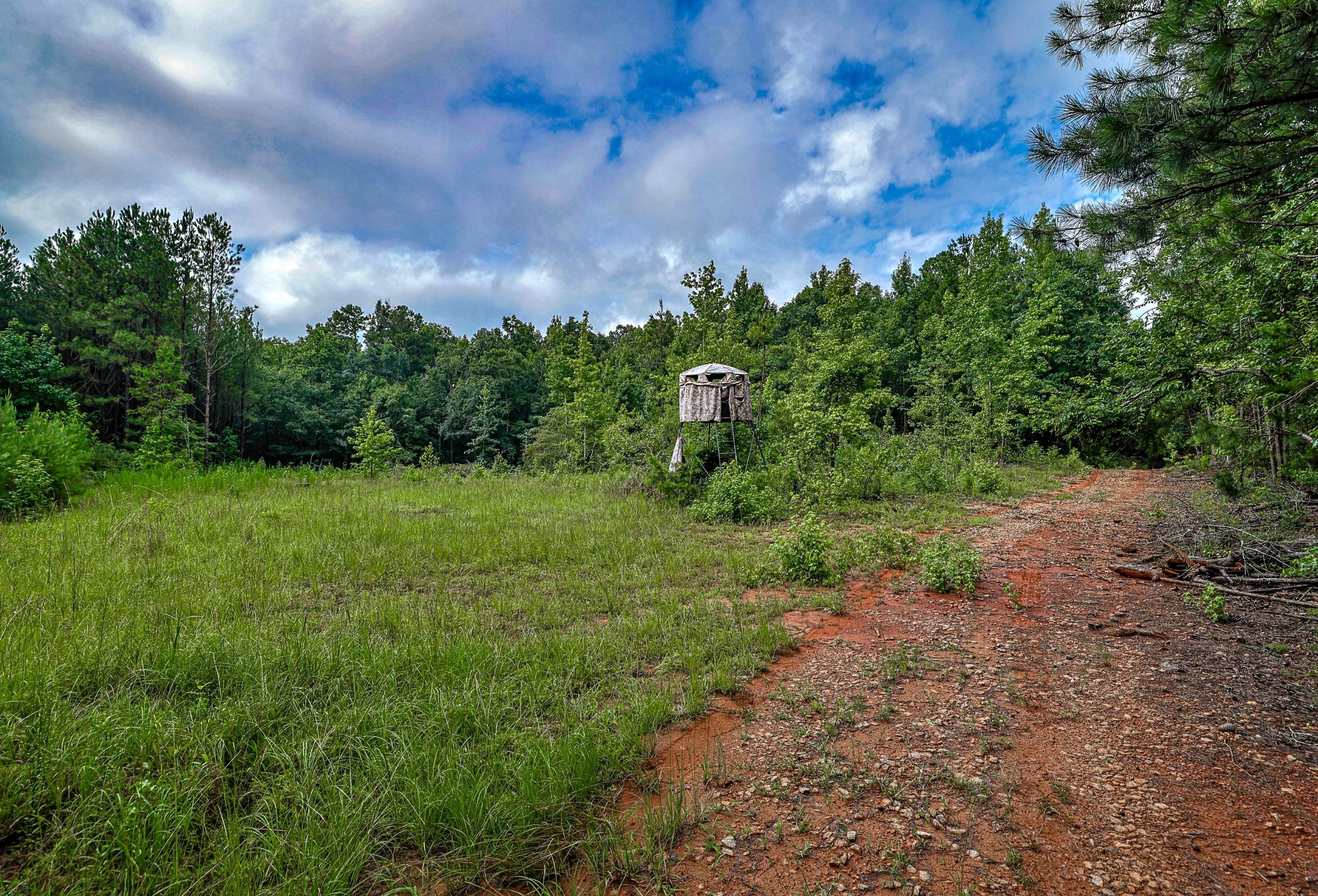 Photo 13 of Rush Creek Farms at Texas Chapel, 310.73 acres, Putnam County, Georgia