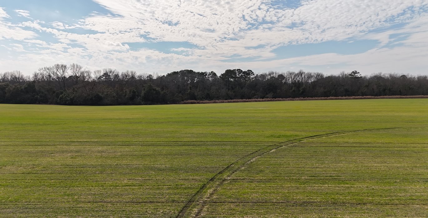 435 DJI 20250206135814 0127 D