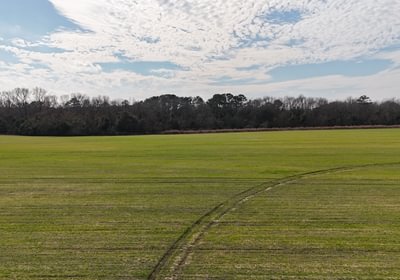 435 DJI 20250206135814 0127 D