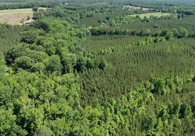435 Horton Tract Photo 20