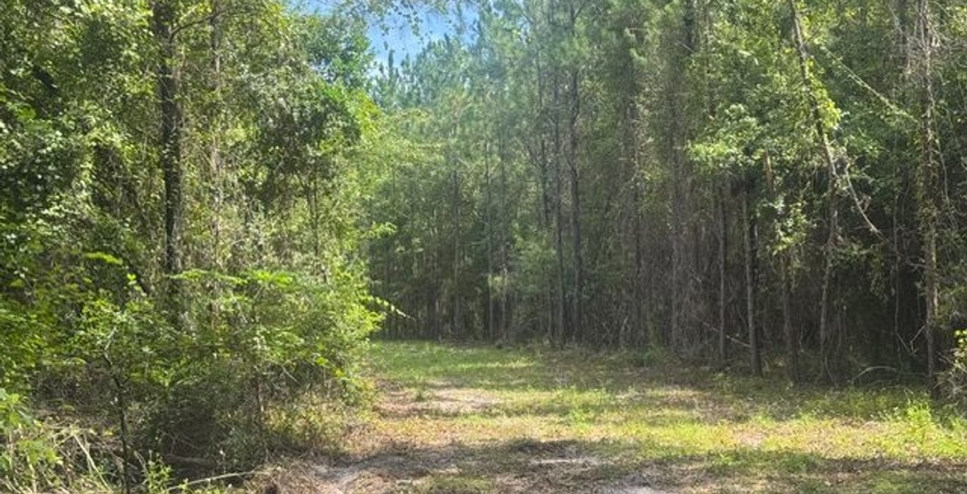 435 IMG 1873