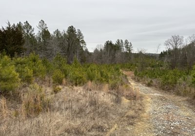 436 IMG 9096