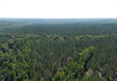 437 Cabin Creek Photo 17