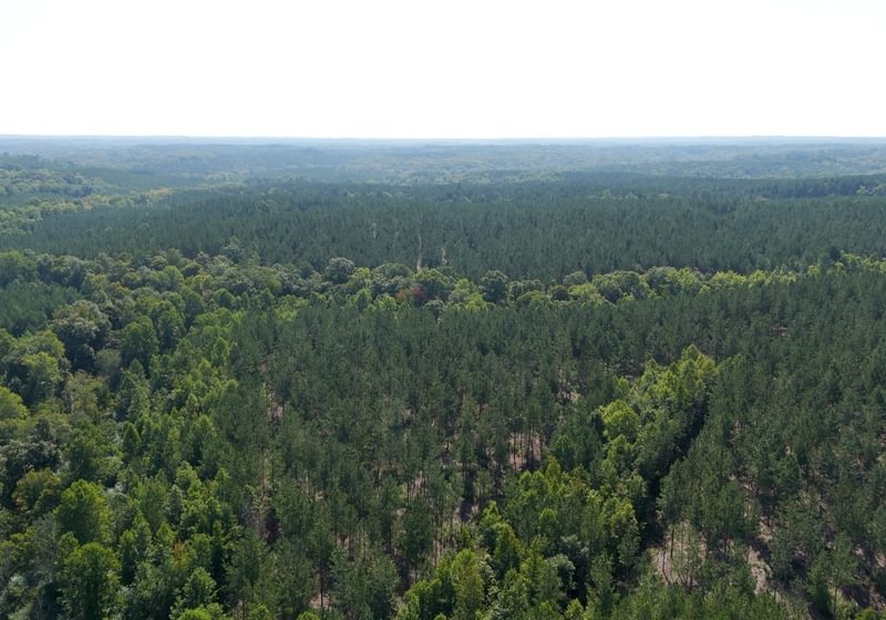 437 Cabin Creek Photo 17