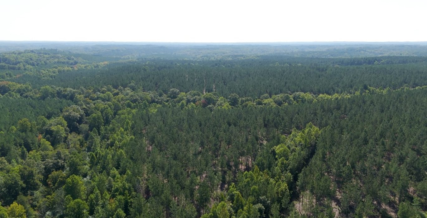 437 Cabin Creek Photo 17