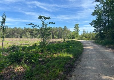 437 IMG 6871