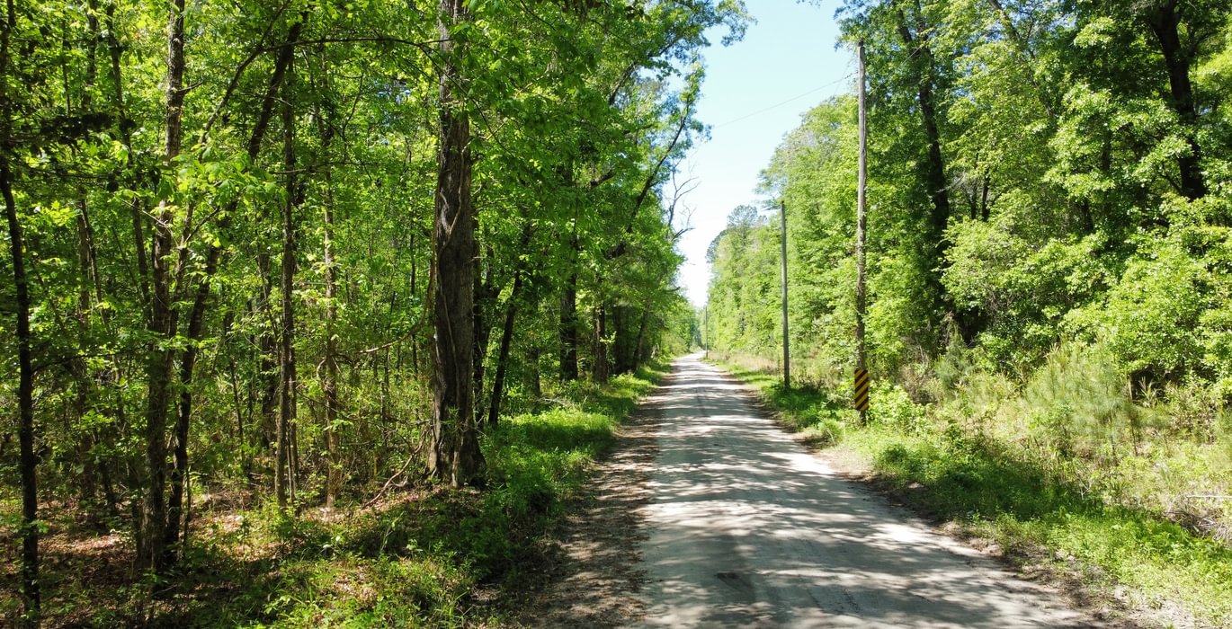 437 dji fly 20250416 123226 88 1744821466765 photo optimized Copy Copy