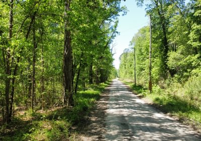 437 dji fly 20250416 123226 88 1744821466765 photo optimized Copy Copy