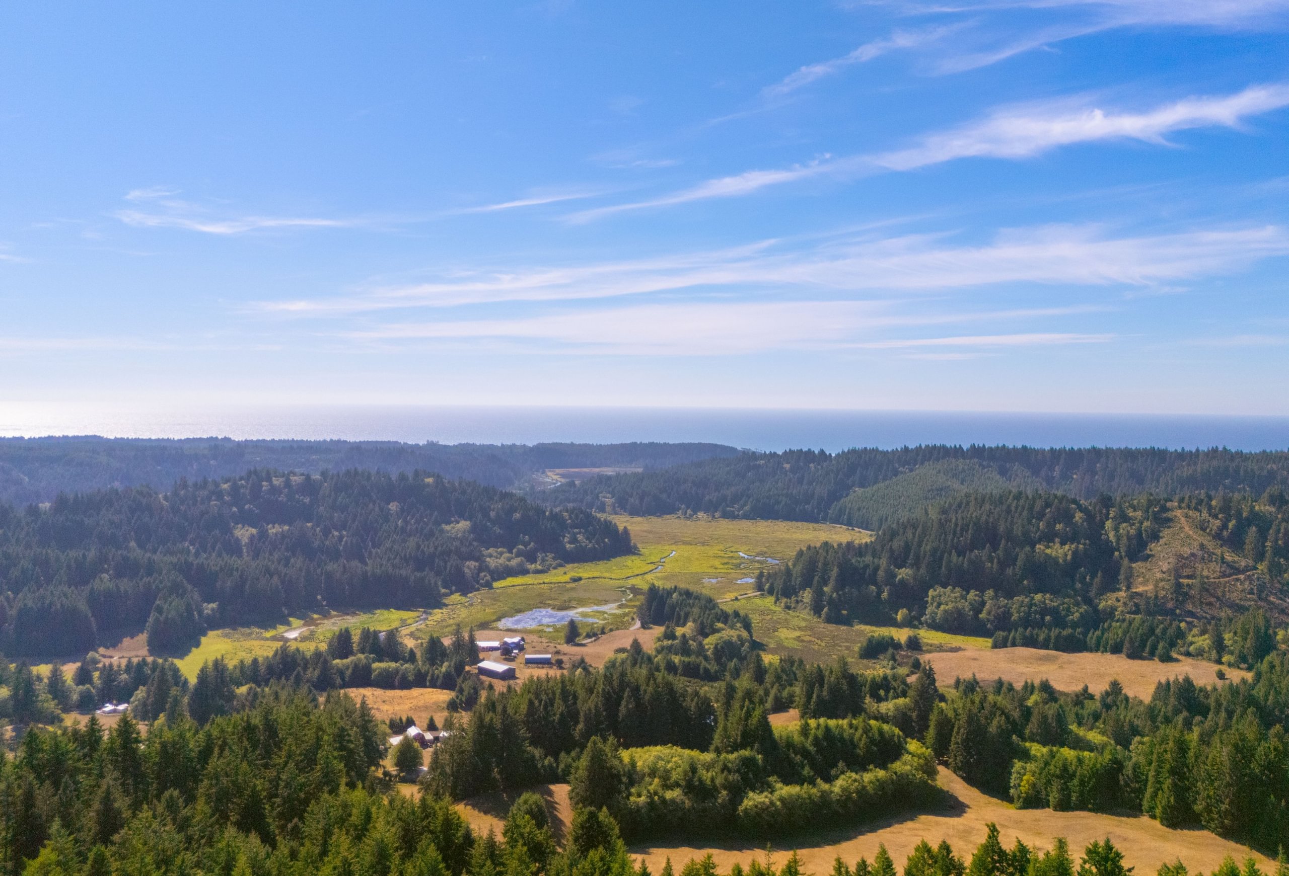 Photo 3 of Sitka Woodland, 35.37 acres, Lincoln County, Oregon