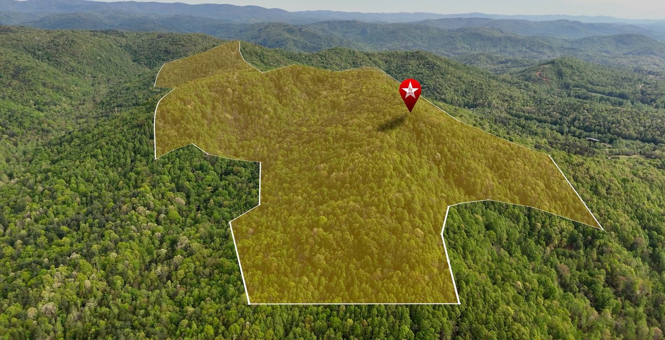 47 AFM Johnson Mountain Photo 1