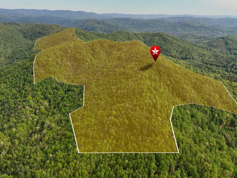 47 AFM Johnson Mountain Photo 1