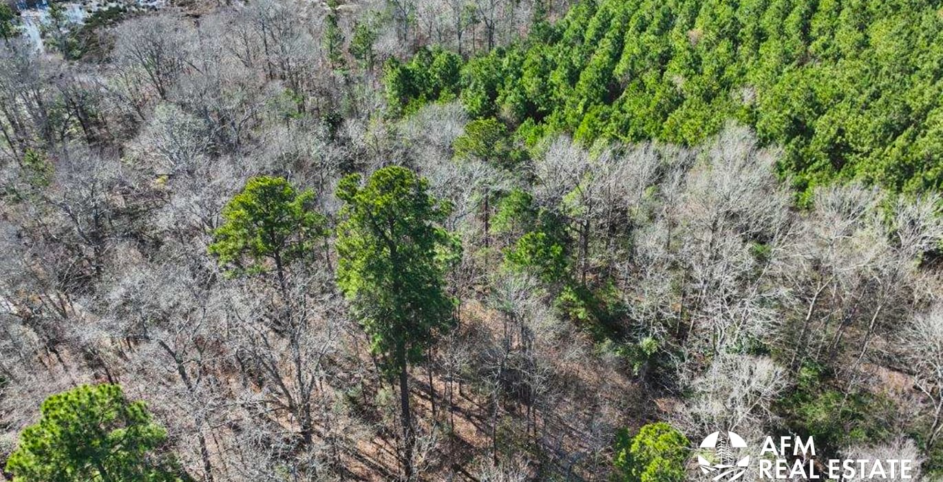 47 DJI 20250201142943 0029 V