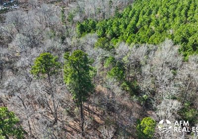 47 DJI 20250201142943 0029 V