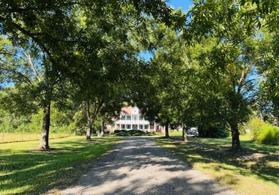 47 IMG 0020