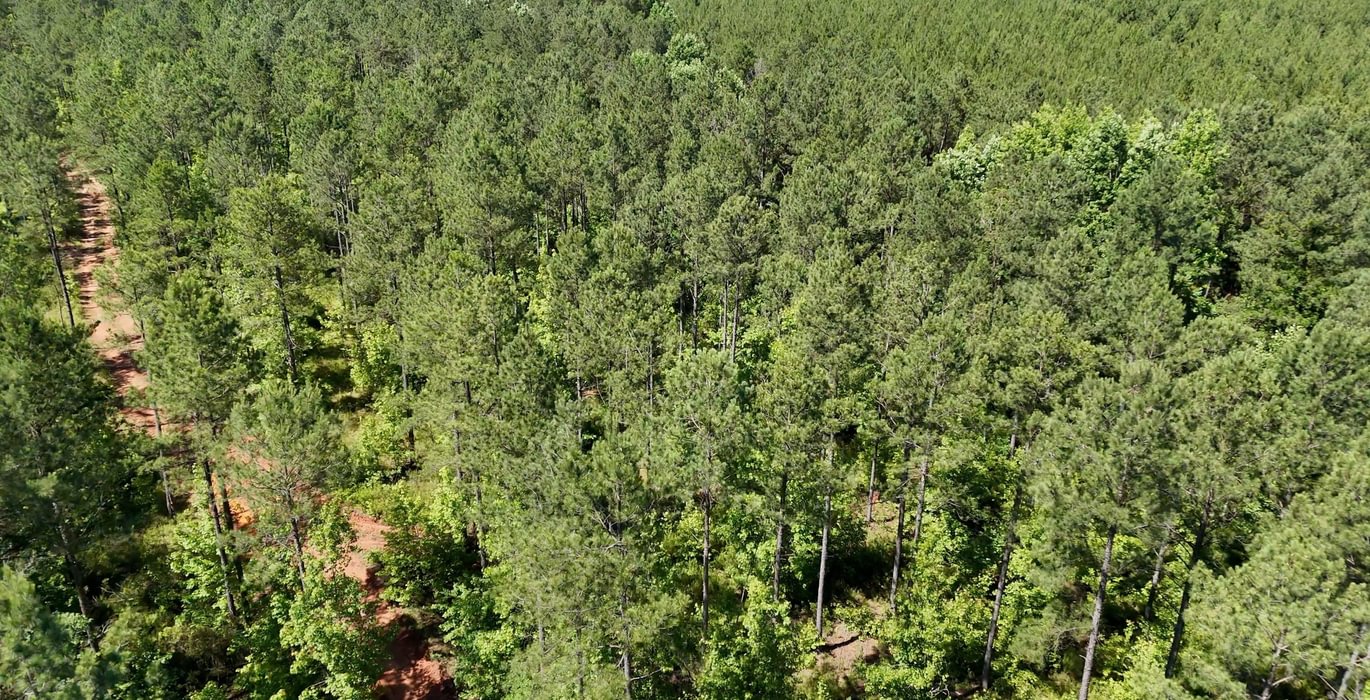 440 Horton Tract Photo 18