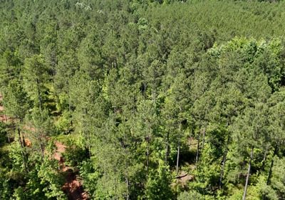 440 Horton Tract Photo 18