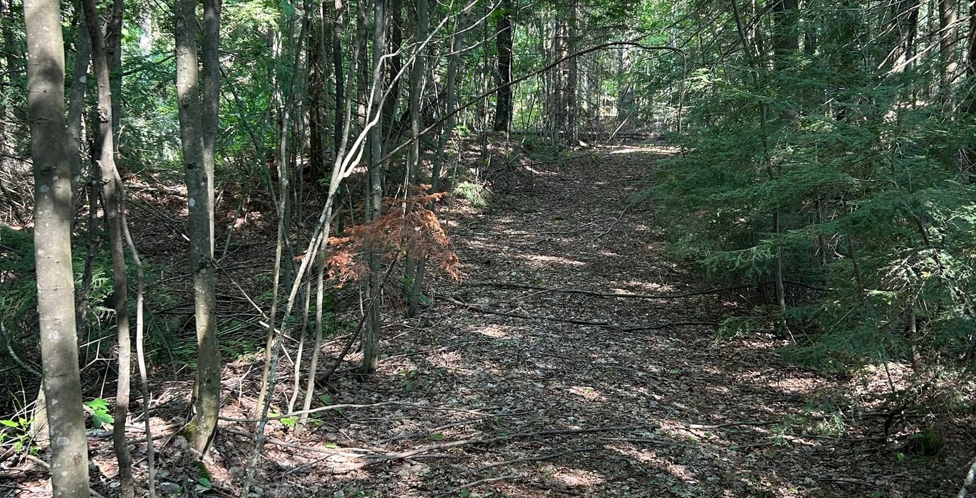 442 IMG 1938