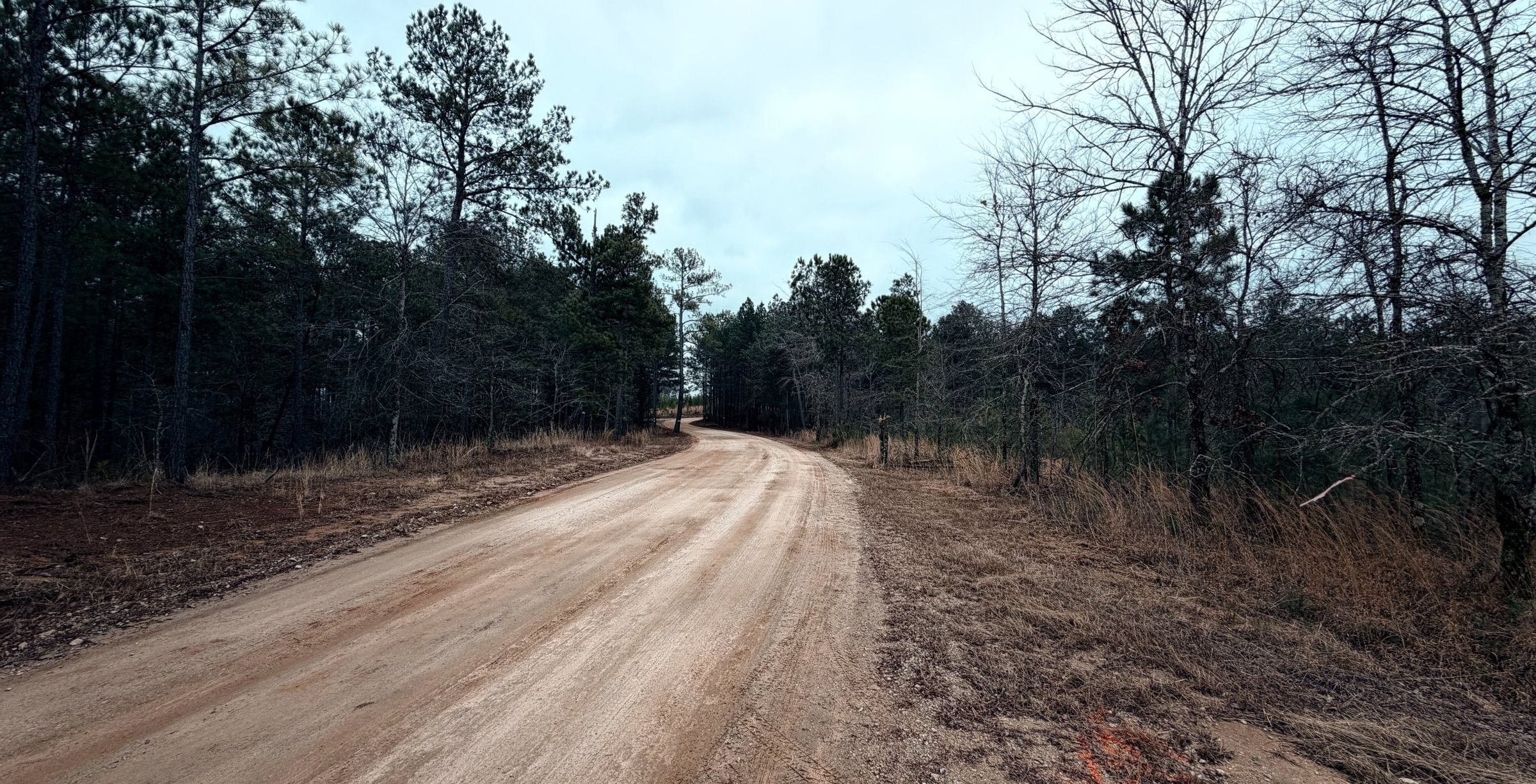 Photo 17 of Chickasaw Pines at Lake Sinclair, 131 acres, Hancock County, Georgia