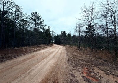 443 IMG 1073