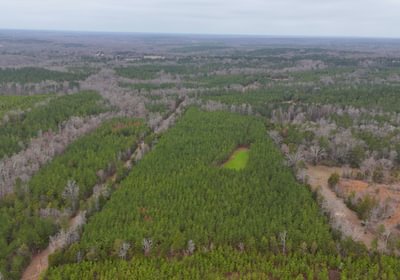 444 AFM Hightower Road 13