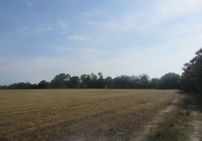 445 IMG 0714