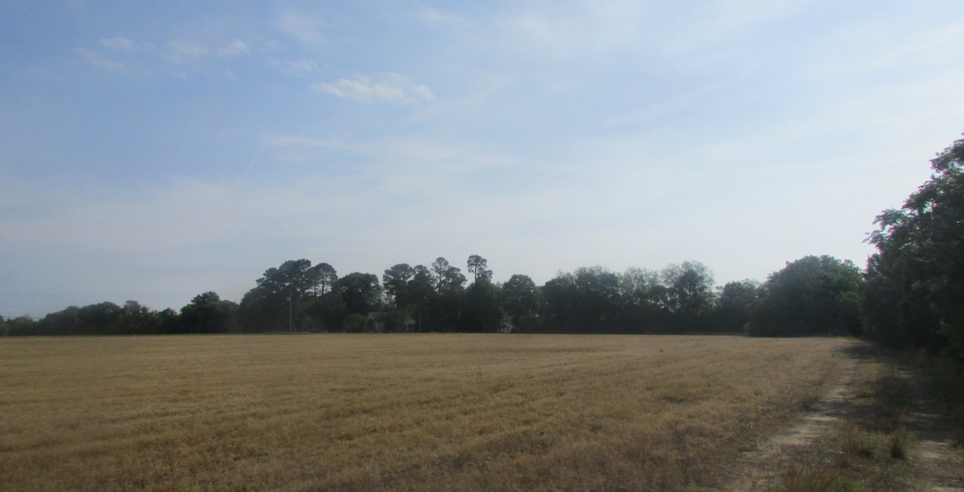 445 IMG 0714