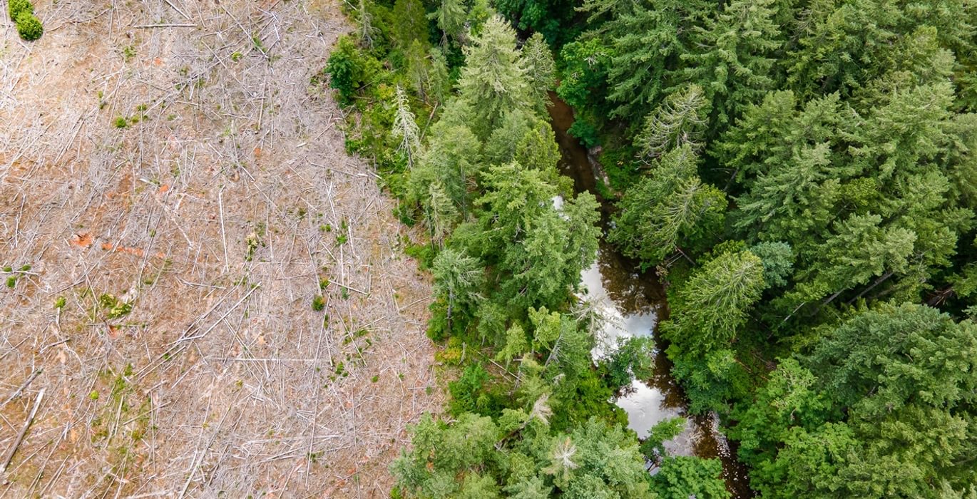 446 DJI 0681 HDR25