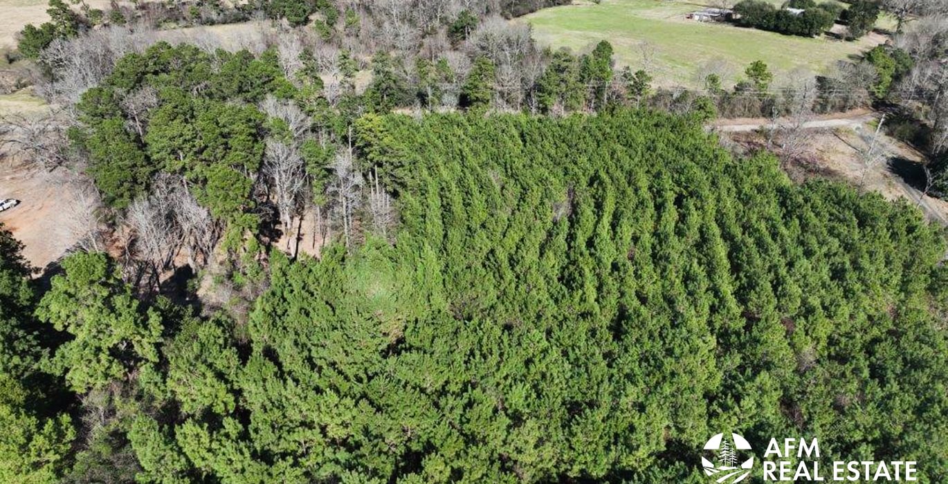 446 DJI 20250201142822 0021 V