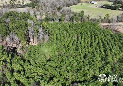 446 DJI 20250201142822 0021 V