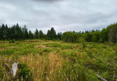 447 IMG 20260708 104052499 HDR