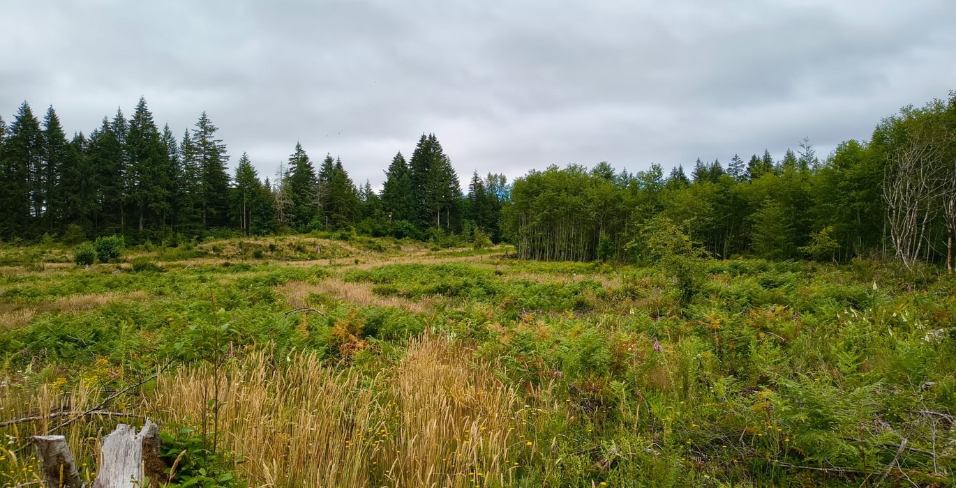 447 IMG 20260708 104052499 HDR