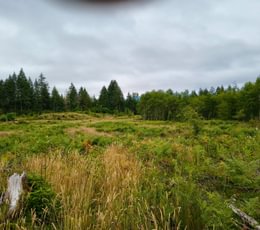 447 IMG 20260708 104052499 HDR