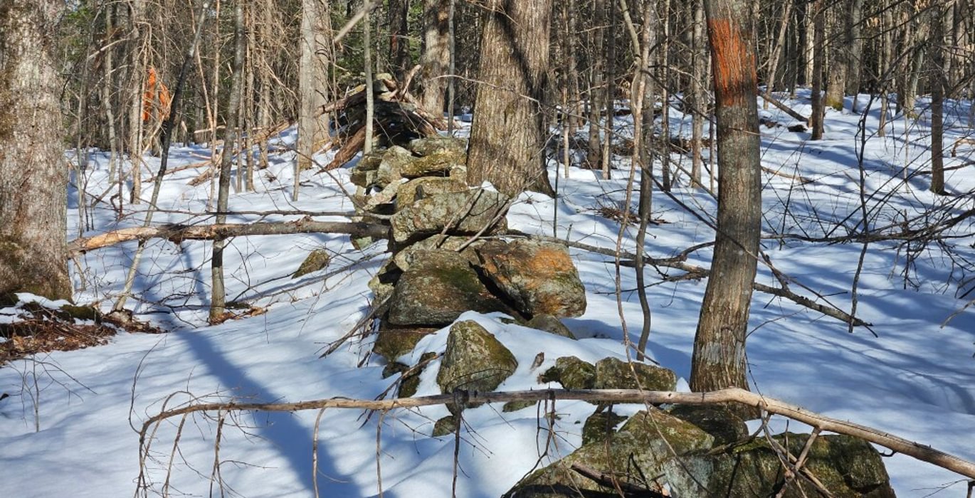 447 Rock wall and boundary line