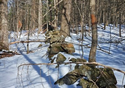 447 Rock wall and boundary line