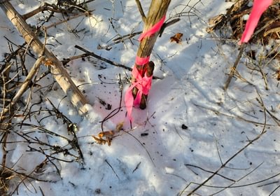 448 17 Southwest pin along Emery Farm Road