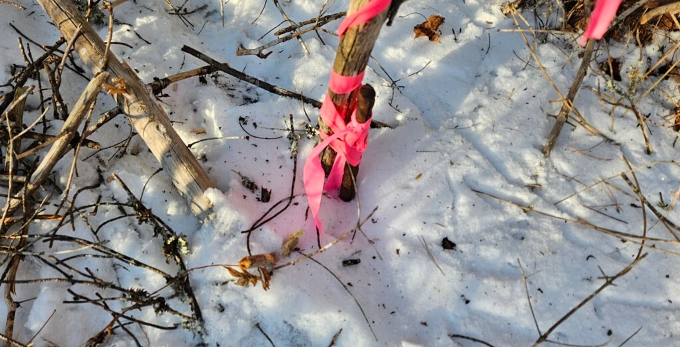 448 17 Southwest pin along Emery Farm Road