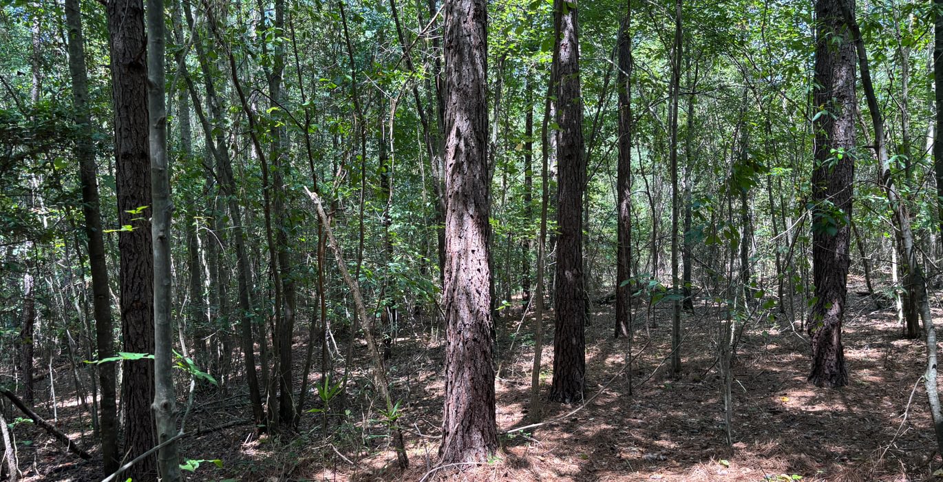 448 IMG 5327