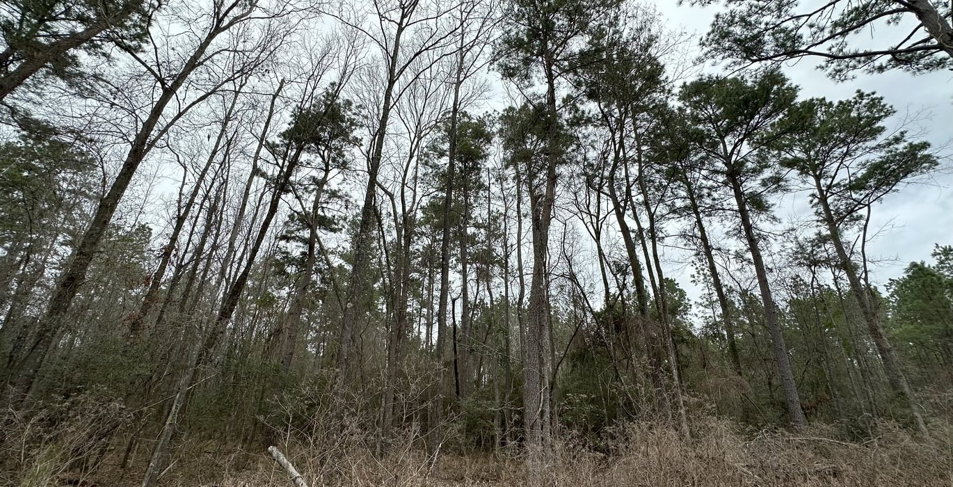 449 IMG 5607