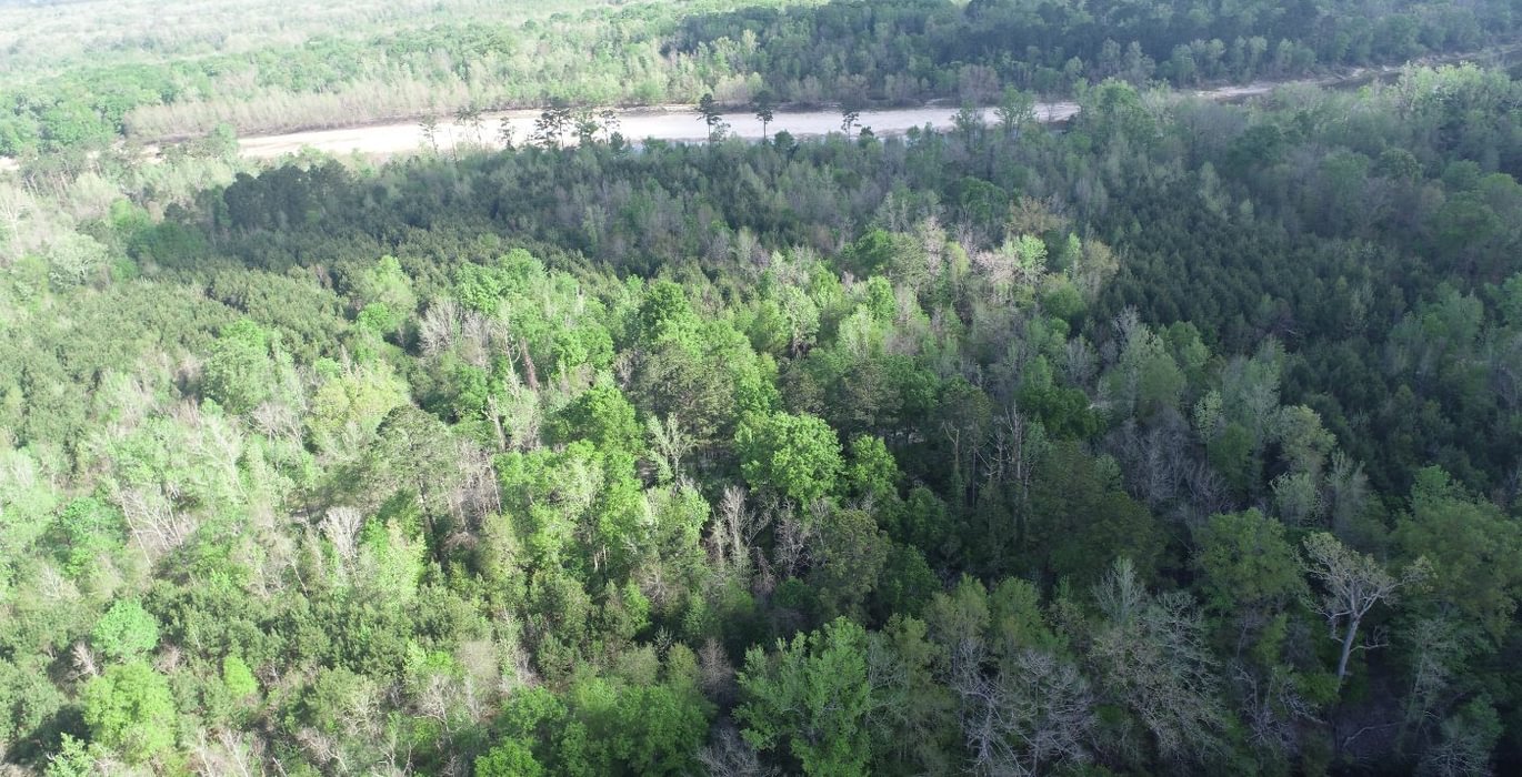 44 DJI 0081