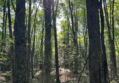 44 IMG 1959