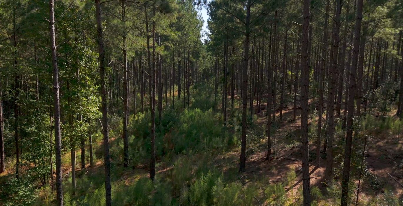 450 Cabin Creek Photo 9