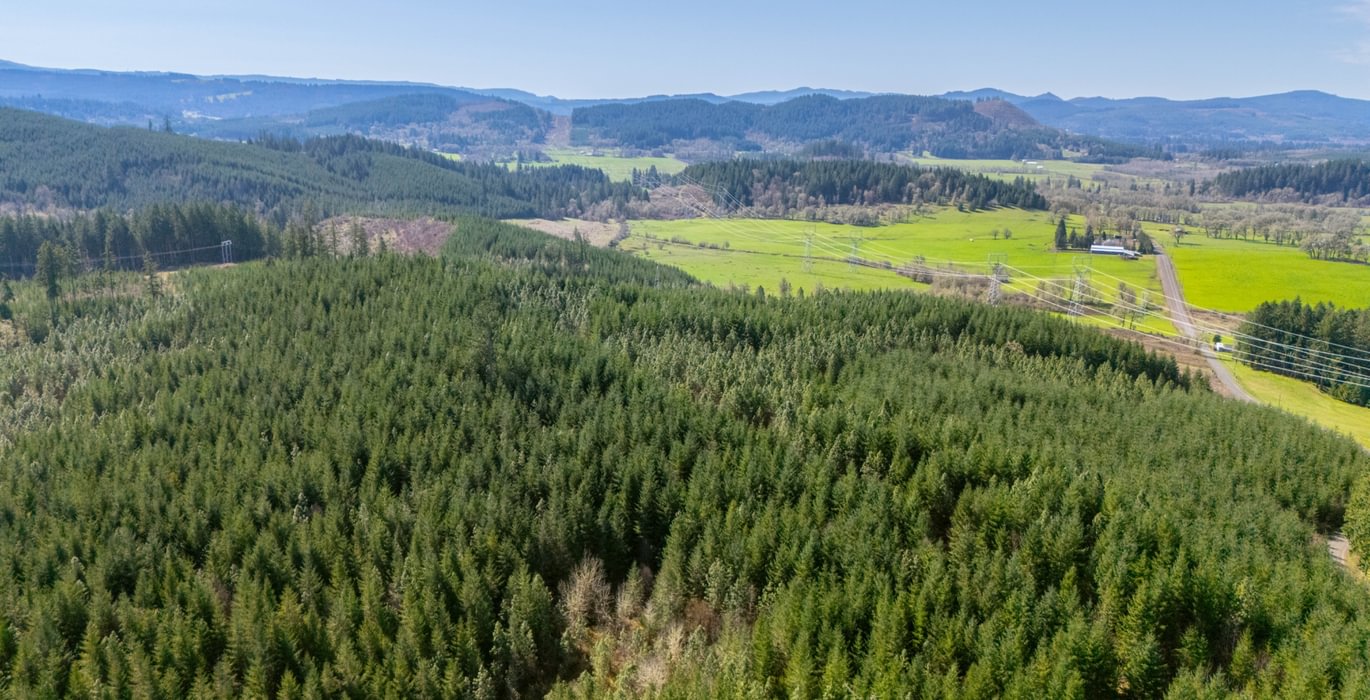 450 Bellinger Road 22