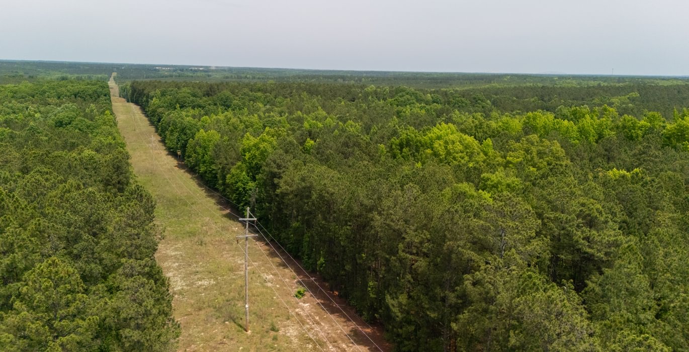 450 DJI 20250516120036 0024 D 1