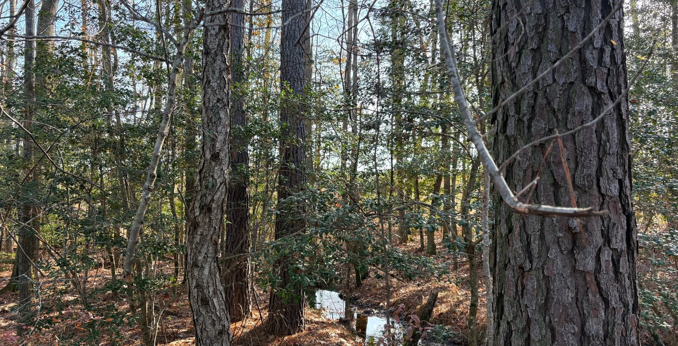 450 IMG 0143